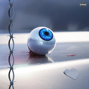 旱厕偷拍videos合集网站
