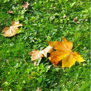 旱厕偷拍videos合集网站
